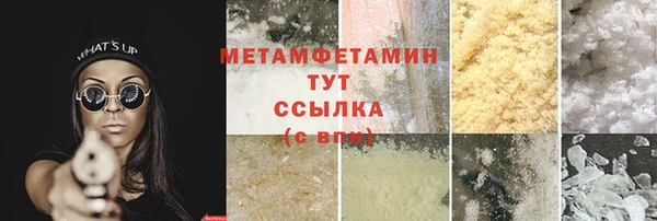 шишки Гвардейск