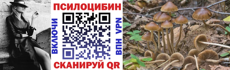 Галлюциногенные грибы MAGIC MUSHROOMS  цены   площадка клад  Ленинск-Кузнецкий 
