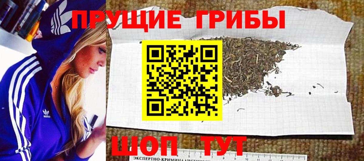 Ленинск-Кузнецкий  Псилоцибиновые грибы Psilocybe  Галлюциногенные грибы мухоморы  Вход с VPN 